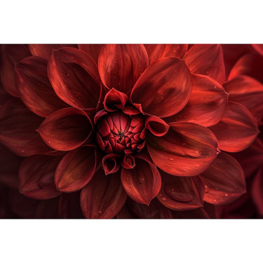 Big Flower Canvas